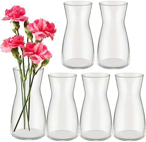 Thenshop 6 Pcs 8'' Tall Clear Glass Flower Vase for Bouquet, Clear by Thenshop
