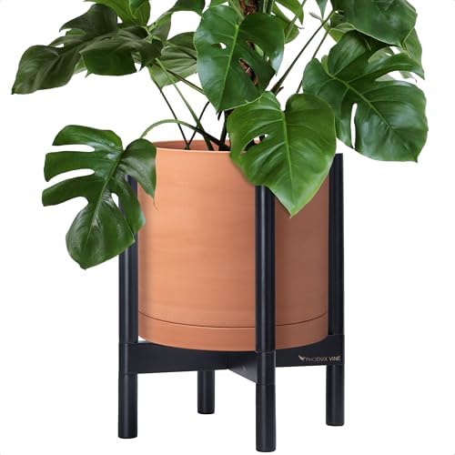 D'vine Dev Terracotta Pot with Ebony Wood Stand, 12 in, 55-B-H-5 by DvineDevPlanterPotsandStand