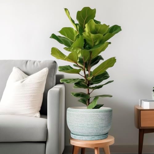 SQOWL Ceramic Pots for Plants - 10 Inch Ceramic Planter for Indoor Outdoor, Modern Round Flower Pot with Drainage Hole and Saucer, Large Planter, Home Office Decor, Gifts for Plant Lovers, Green - Image 2
