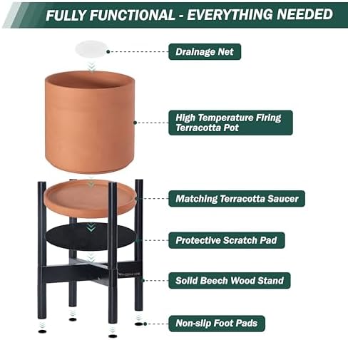 D'vine Dev Terracotta Pot with Ebony Wood Stand, 12 in, 55-B-H-5 - Image 5