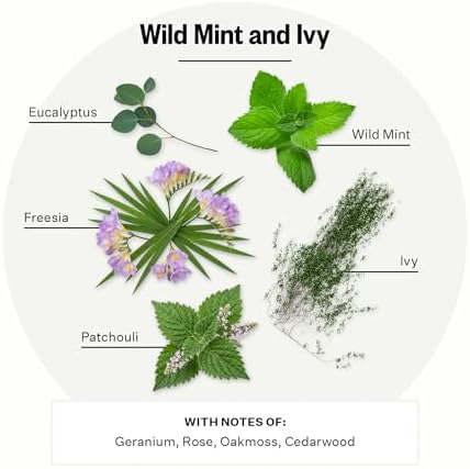 Apotheke Signature Scented Candles for Home, Wild Mint & Ivy - 10.5 Oz - Image 2