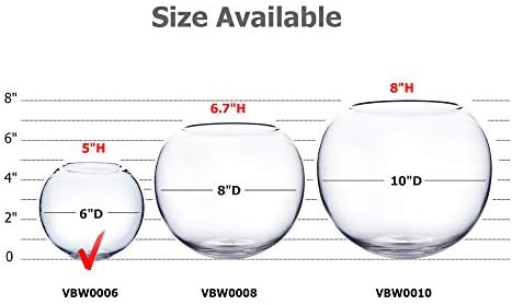 WGV Bowl Glass Vase Bulk, Diameter 6", Height 5", Open Width 4", (Multiple Sizes Choices) Clear Bubble Planter Terrarium Fish Bowl for Wedding Event Home Decor, 12 Pieces (VBW0006) - Image 3