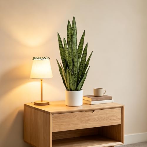 Fake Snake Plant 3FT, 35in Artificial Potted Plant with White Pot - Image 4