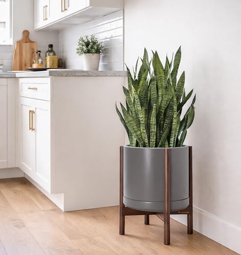 D'vine Dev Ceramic Pot with Walnut Wood Stand, Grey, 14 in, 55-B-T-3 - Image 2