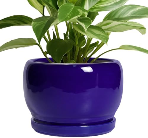 SQOWL 8 Inch Plant Pot - Ceramic Planter for Indoor Plants Outdoor, Ceramic Flower Pot with Drainage Hole and Saucer, Modern Round Planter, Bathroom Decor, Gifts for Plant Lovers, Blue by SQOWL