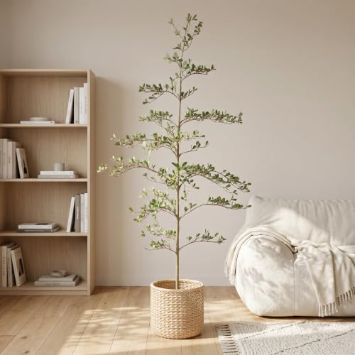 6FT Artificial Olive Tree, Faux Plants Indoor, Tall Fake Tree with Black Pot by Unknown