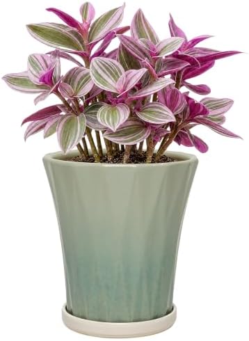 6.6 Inch Ceramic Planters with Drainage Hole and Saucer,Indoor Outdoor Large Flower Pots, Garden Pot for Plant Lovers (Wave Green) by Unknown