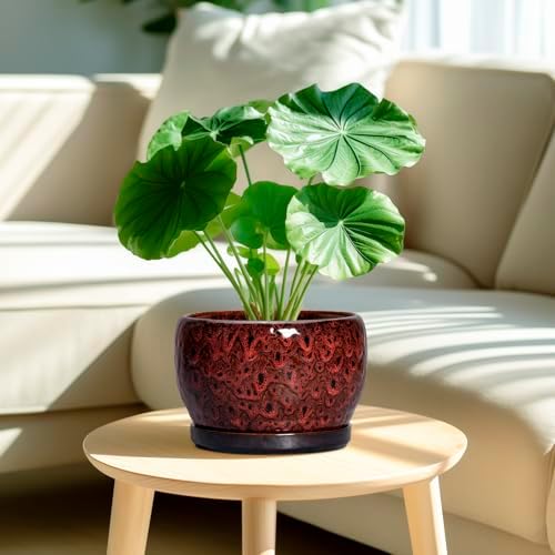 SQOWL Ceramic Plant Pots - 8 inch Planter with Drainage Hole and Tray, Round Ceramic Planter for Indoor Outdoor, Modern Decorative Flower Pot, Home Room House Decor, Plant Lovers Gifts, Red - Image 2