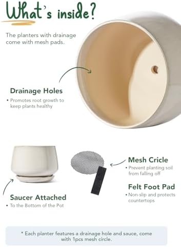 LE TAUCI Ceramic Planter, 12 Inch, Large Plant Pot, Reactive Glaze Beige - Image 5