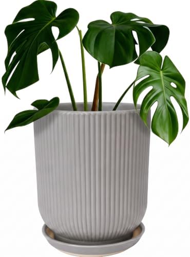 Deep Dream 8 Inch Ceramic Pots for Plants, Heavy Plant Pot for Indoor Outdoor Plants, Large Plant Pot with Drainage Hole and Saucer, Modern Tall Flower Pot, Gifts for Plant Lovers, Grey by DeepDream