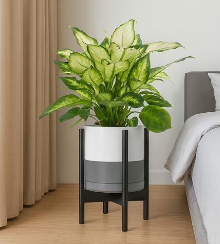 D'vine Dev Ceramic Pot with Ebony Wood Stand, White/Grey, 10 in, 55-B-L-6 - Image 4