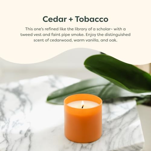 Calyan Wax Co. Dignity Series Cedar & Tobacco Scented Candle - 35 Hour Burn - Image 3