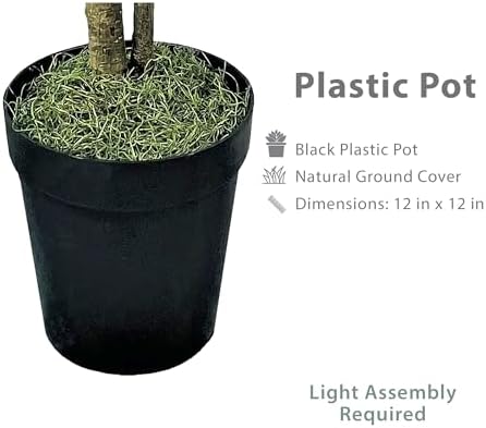 LCG Florals 6ft Artificial Ficus Tree in Black Plastic Pot - Real Wood Trunk, No Maintenance Indoor Faux Plant - Living Room, Home & Office Decor - Image 3