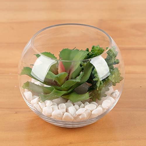 WGV Bowl Glass Vase, Diameter 8", Height 6.5", Open Width 3.75", (Multiple Sizes Choices) Clear Bubble Planter Terrarium Fish Bowl for Wedding Event Home Decor, 1 Piece (VBW0008) - Image 6