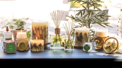 Rosy Rings Forest Botanical Reed Diffuser 4oz - Lasts 6-12 Months, Aromatherapy Diffuser, Reed Diffuser Sticks, Diffuser with Botanicals Perfect for Home Decor! - Image 5