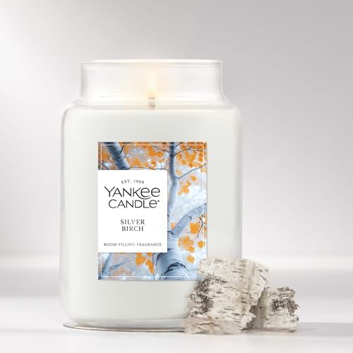 Yankee Candle Silver Birch Scented Candle, 22oz Large Jar - Image 4