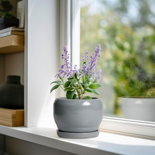 SQOWL 6 Inch Plant Pots - Ceramic Planter with Drainage Hole and Saucer, Round Ceramic Flower Pot Indoor Outdoor, Modern Succulent Planter, Bathroom Decor, Gifts for Plant Lovers, Grey - Image 2