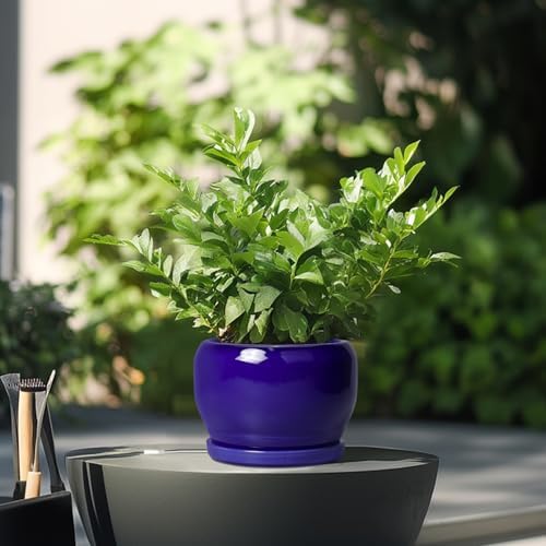 SQOWL Ceramic Planters for Indoor Plants - 6 Inch Plant Pot with Drainage Hole and Saucer, Round Small Planter, Modern Decorative Flower Pot Outdoor, Living Room Decor, Garden Gifts for Women, Blue - Image 4