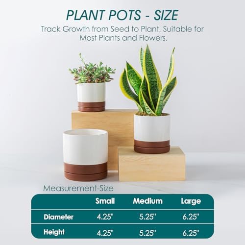 vancasso Ceramic Plant Pots, 3 Piece Planters for Indoor Plants, Khaki - Image 2