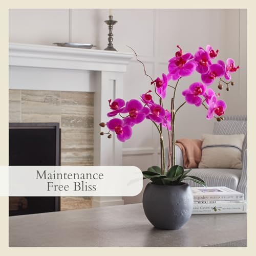 CG Hunter, Faux Pink Orchid Plant, 25 in, Grey, Home Decor - Image 6