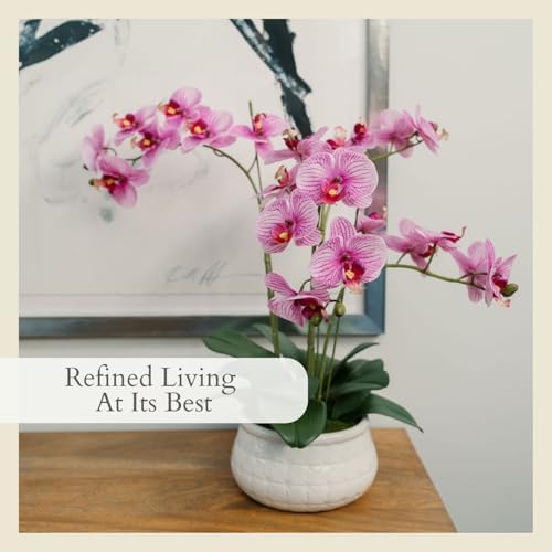 CG Hunter, Faux Orange Orchid Plant, 23 in, White, Home Decor - Image 4