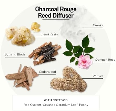 Apotheke Scented Reed Diffuser for Home, Charcoal Rouge, 10 Reed Sticks - Image 3