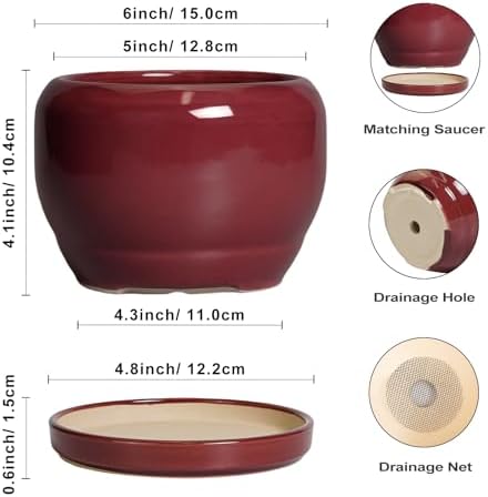 SQOWL 6 Inch Plant Pot - Ceramic Planter for Indoor Plants Outdoor, Round Planter with Drainage Hole and Saucer, Decorative Modern Small Flower Pots, Room Decor, Gifts for Plant Lovers, Red - Image 3