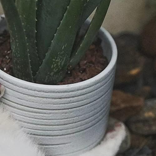 HERDUK Modern Ceramic Pottery Planter for Indoor Plants, White Minimalist Indoor Planter with Drainage, Contemporary Decorative Pot for Living Room, Office & Shelf Styling - Image 6