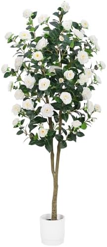 Artificial Camellia Tree 6FT– Faux Plants Indoor, with Easy Assembly, Low Maintenance, Ideal for Both Indoor Decoration and Other Purposes，Perfect Porch Christmas Trees (White 6ft) by HZXGCP