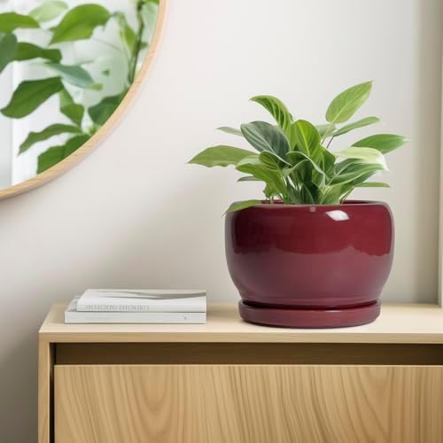 SQOWL Ceramic Pot for Plants - 10 Inch Indoor Planter with Drainage Hole and Saucer, Round Modern Planter Outdoor, Decorative Large Plant Pot for Flower, Living Room Decor, Garden Gifts, Red - Image 7