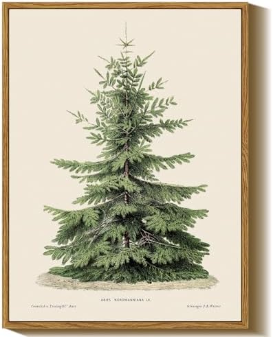 InSimSea Framed Wall Art, Vintage Christmas Pine Tree Winter Decor, 12x16In by InSimSeaArt