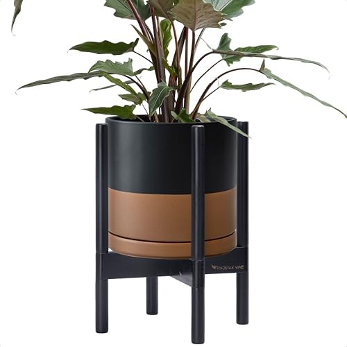 D'vine Dev Ceramic Pot with Ebony Wood Stand, Black/Tan, 10 in, 55-B-L-7 by DvineDevPlanterPotsandStand