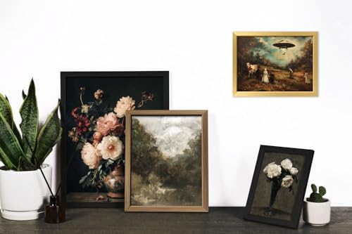 16 PCS Framed Vintage Wall Art Decor, Moody Victorian Gothic Dark Academia Farmhouse Gallery Wall Frame Set Prints for Bedroom Bathroom, Landscape Posters for Living Room, Home Artwork Collage Kit - Image 5