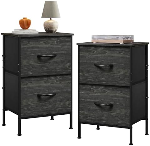 WLIVE Black Night Stand Set of 2, Small Dresser with 2 Drawers & Wooden Top, Nightstand with Fabric Bins, Bedside Table End Table for Bedroom, Closet, Entryway, College Dorm, Charcoal Black by WLIVE
