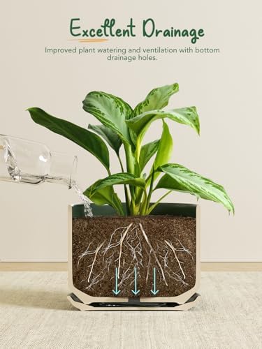 LE TAUCI Ceramic Plant Pots, Set of 2, 8+10 Inch, Forest Green - Image 4