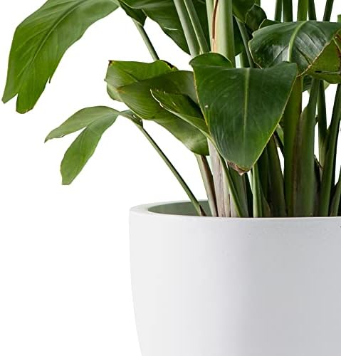 Kante Set of 3 White Concrete Bowl Planters 18" 14" 10" Dia - Image 4