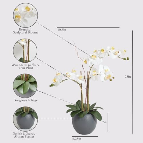 CG Hunter, Faux White Orchid Plant, 25 in, Grey, Home Decor - Image 2