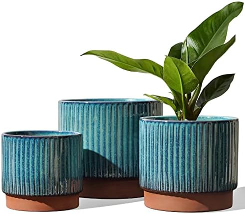 LE TAUCI Ceramic Plant Pots with Drainage Holes, Set of 3, 8+6.7+5.5 Inch Stripe Garden Planter Pots for Outdoor Indoor Plants Flower, Round Succulent Orchid Flower Pot, Reactive Glaze Green by LETAUCI