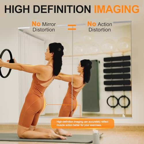 Delma Home Gym Mirror, 48''x28''x2PCS Silver Wall Mounted - Image 6