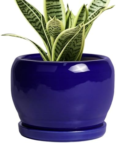 SQOWL Ceramic Planters for Indoor Plants - 6 Inch Plant Pot with Drainage Hole and Saucer, Round Small Planter, Modern Decorative Flower Pot Outdoor, Living Room Decor, Garden Gifts for Women, Blue by SQOWL
