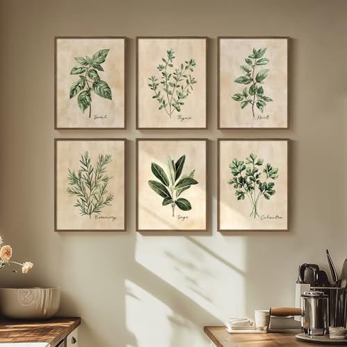 Framed Rustic Sage Green Botanical Wall Art for Kitchen, 6 Piece 11x14 In by Cuspin