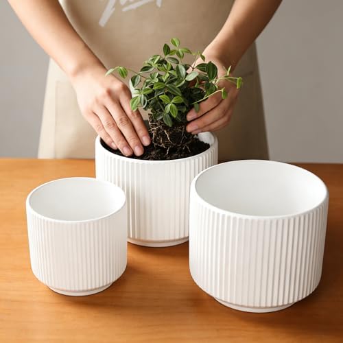 Oakrain Plant Pots Set of 3 with Vertical Stripes 7.8/6.5/5.2 inch, Modern Decorative Planters for Indoor Outdoor Plants, Garden Flower Pot with Drainage Holes, Ceramic White - Image 6