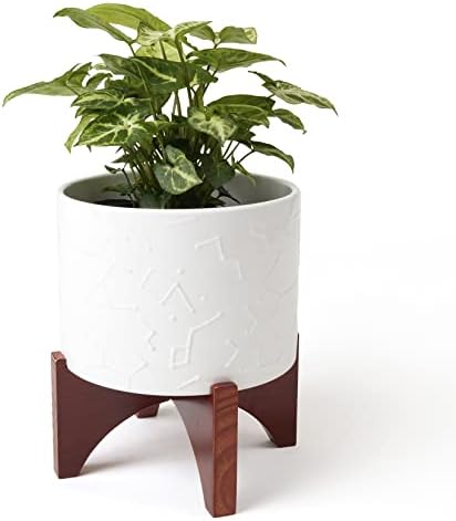 LA JOLIE MUSE Ceramic Pot for Plants, 8 Inch Indoor Planter with Stand by LaJol%C3%ADeMuse