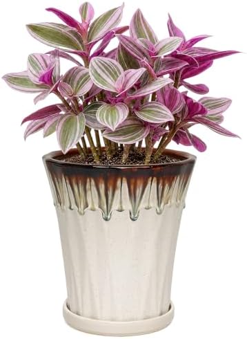6.6 Inch Ceramic Planters with Drainage Hole and Saucer,Indoor Outdoor Large Flower Pots, Garden Pot for Plant Lovers (Drip White) by Unknown