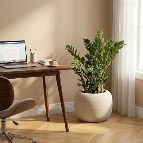 MGWILL 13 Inch Plant Pot, Elegant Planters for Indoor Plants, Flower Pots with Drainage Hole, Durable Indoor Planter for Home Decor, Fits Fiddle Leaf Fig & Monstera, Off-White - Image 2