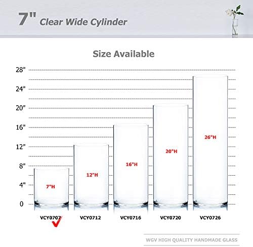 WGV Cylinder Vase, Width 7", Height 7", Clear Wide Large Diameter Flower Glassware, Floral Container, Planter Terrarium for Wedding Party Event, Home Accent Decor, 1 Piece - Image 3