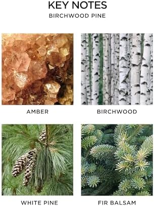 NEST New York Scented Classic Christmas Tree Candle, Birchwood Pine - 8.1 oz - Up to 60-Hour Burn Time - Reusable Glass Vessel - Image 4