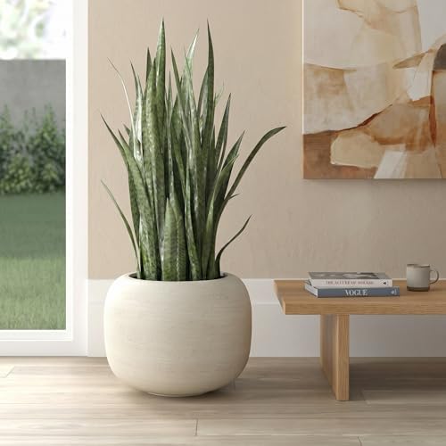 MGWILL 13 Inch Plant Pot, Elegant Planters for Indoor Plants, Flower Pots with Drainage Hole, Durable Indoor Planter for Home Decor, Fits Fiddle Leaf Fig & Monstera, Off-White by MGWILL