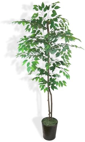 LCG Florals 6ft Artificial Ficus Tree in Black Metal Pot - Real Wood Trunk, No Maintenance Indoor Faux Plant - Living Room, Home & Office Decor by LCGFlorals