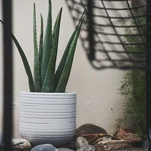 HERDUK Modern Ceramic Pottery Planter for Indoor Plants, White Minimalist Indoor Planter with Drainage, Contemporary Decorative Pot for Living Room, Office & Shelf Styling - Image 5
